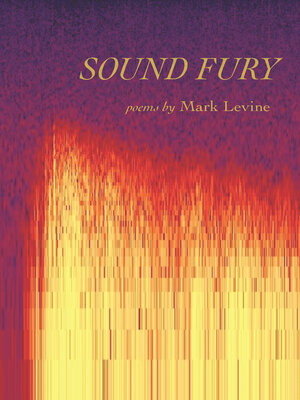 cover image of Sound Fury